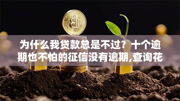 为什么我贷款总是不过？十个逾期也不怕的征信没有逾期,查询花了,能贷款的平台