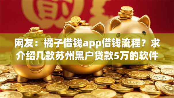 网友：橘子借钱app借钱流程？求介绍几款苏州黑户贷款5万的软件