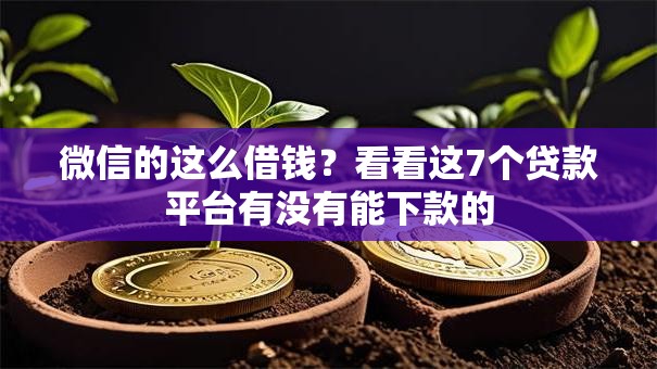 微信的这么借钱？看看这7个贷款平台有没有能下款的
