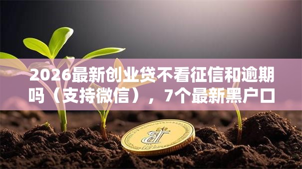 2026最新创业贷不看征信和逾期吗（支持微信），7个最新黑户口子无私分享