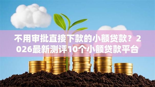 不用审批直接下款的小额贷款？2026最新测评10个小额贷款平台排名不分先后