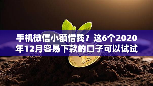 手机微信小额借钱?这6个2020年12月容易下款的口子可以试试 手机微信小额借钱?这6个2020年12月容易下款的口子可以试试