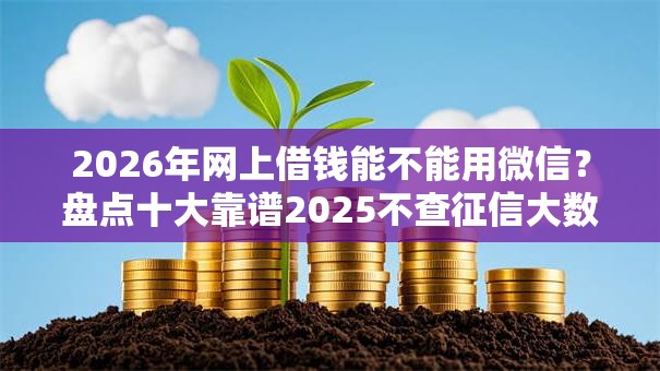 2026年网上借钱能不能用微信？盘点十大靠谱2025不查征信大数据百分百下款的平台