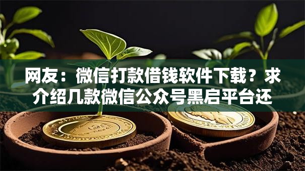 网友：微信打款借钱软件下载？求介绍几款微信公众号黑启平台还可以贷款
