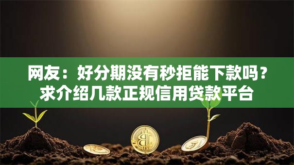 网友：好分期没有秒拒能下款吗？求介绍几款正规信用贷款平台