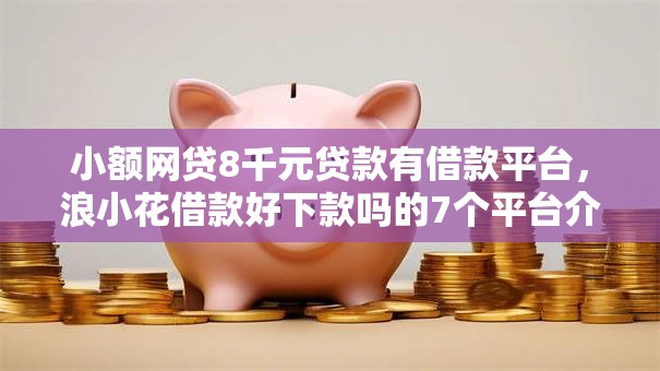 小额网贷8千元贷款有借款平台,浪小花借款好下款吗的7个平台介绍 小额网贷8千元贷款有借款平台,浪小花借款好下款吗的7个平台介绍