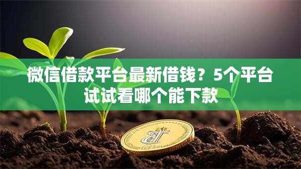 微信借款平台最新借钱？5个平台试试看哪个能下款