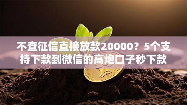 不查征信直接放款20000?5个支持下款到微信的高炮口子秒下款2025 不查征信直接放款20000?5个支持下款到微信的高炮口子秒下款2025