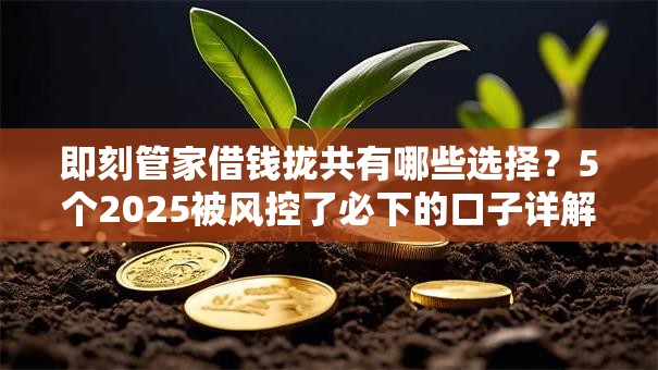 即刻管家借钱拢共有哪些选择？5个2025被风控了必下的口子详解