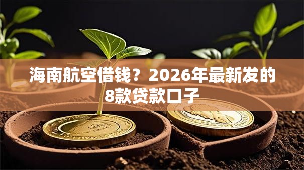 海南航空借钱？2026年最新发的8款贷款口子