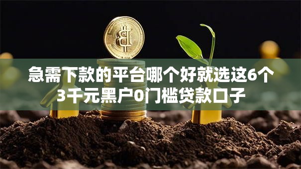 急需下款的平台哪个好就选这6个3千元黑户0门槛贷款口子
