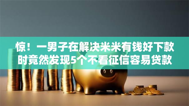 惊！一男子在解决米米有钱好下款时竟然发现5个不看征信容易贷款的平台，事后分享了出来