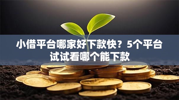 小借平台哪家好下款快？5个平台试试看哪个能下款
