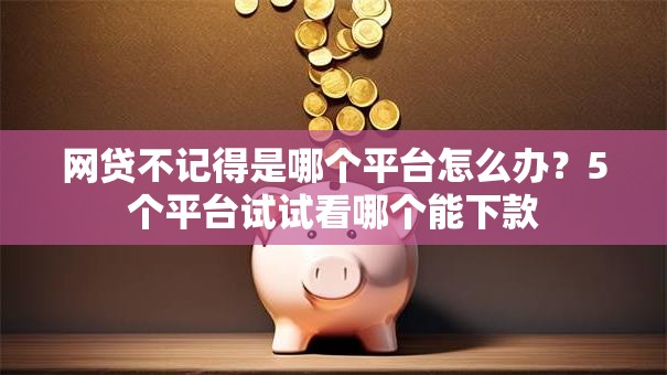 网贷不记得是哪个平台怎么办？5个平台试试看哪个能下款