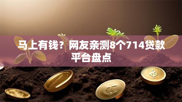 马上有钱？网友亲测8个714贷款平台盘点