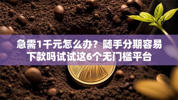 急需1千元怎么办？随手分期容易下款吗试试这6个无门槛平台