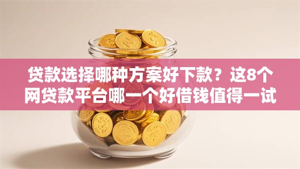 贷款选择哪种方案好下款？这8个网贷款平台哪一个好借钱值得一试