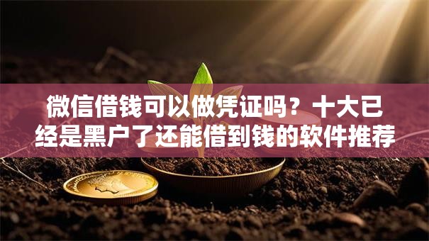 微信借钱可以做凭证吗?十大已经是黑户了还能借到钱的软件推荐 微信借钱可以做凭证吗?十大已经是黑户了还能借到钱的软件推荐