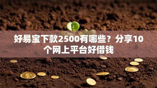 好易宝下款2500有哪些？分享10个网上平台好借钱