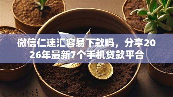 微信仁速汇容易下款吗，分享2026年最新7个手机贷款平台