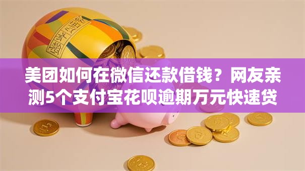 美团如何在微信还款借钱？网友亲测5个支付宝花呗逾期万元快速贷款app盘点