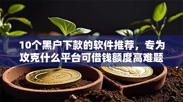 10个黑户下款的软件推荐，专为攻克什么平台可借钱额度高难题