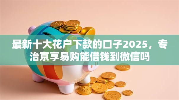 最新十大花户下款的口子2025，专治京享易购能借钱到微信吗
