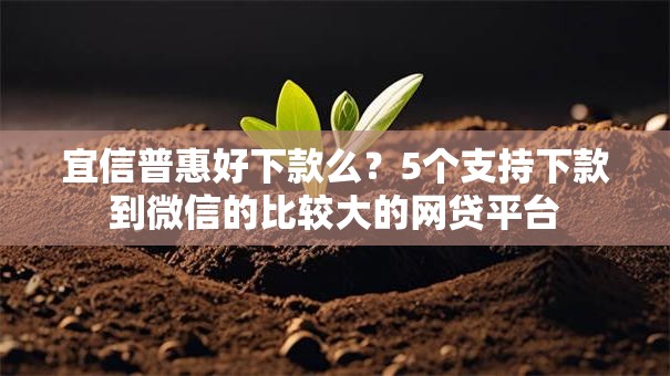宜信普惠好下款么？5个支持下款到微信的比较大的网贷平台