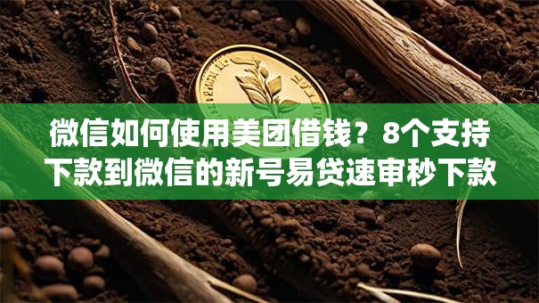 微信如何使用美团借钱?8个支持下款到微信的新号易贷速审秒下款app 微信如何使用美团借钱?8个支持下款到微信的新号易贷速审秒下款app