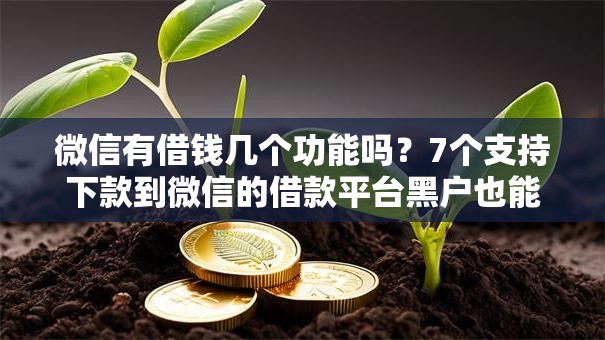 微信有借钱几个功能吗？7个支持下款到微信的借款平台黑户也能借款