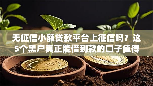 无征信小额贷款平台上征信吗?这5个黑户真正能借到款的口子值得一试 无征信小额贷款平台上征信吗?这5个黑户真正能借到款的口子值得一试