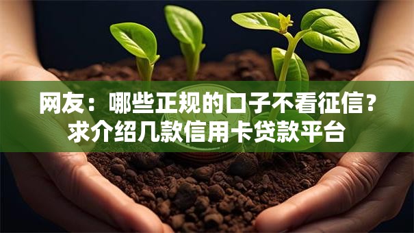 网友：哪些正规的口子不看征信？求介绍几款信用卡贷款平台