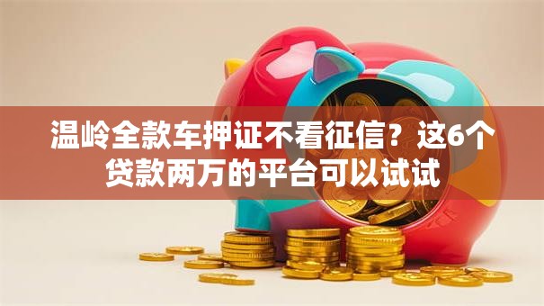 温岭全款车押证不看征信？这6个贷款两万的平台可以试试
