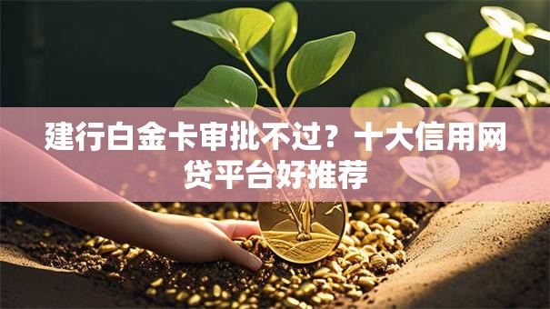 建行白金卡审批不过？十大信用网贷平台好推荐