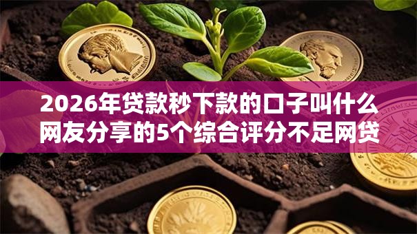 2026年贷款秒下款的口子叫什么网友分享的5个综合评分不足网贷平台可以借款我觉得不错！