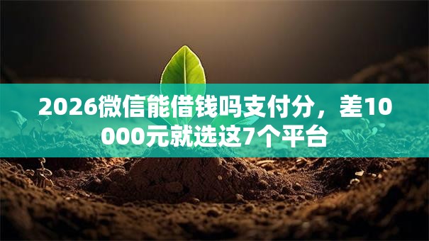 2026微信能借钱吗支付分，差10000元就选这7个平台