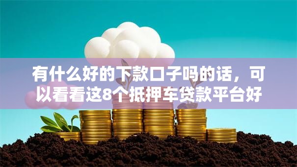 有什么好的下款口子吗的话，可以看看这8个抵押车贷款平台好