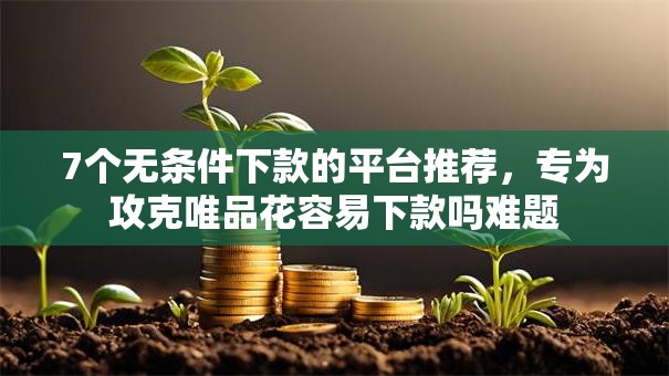 7个无条件下款的平台推荐，专为攻克唯品花容易下款吗难题