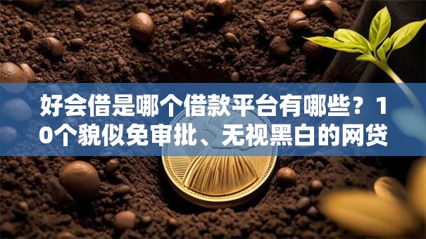 好会借是哪个借款平台有哪些？10个貌似免审批、无视黑白的网贷软件合集