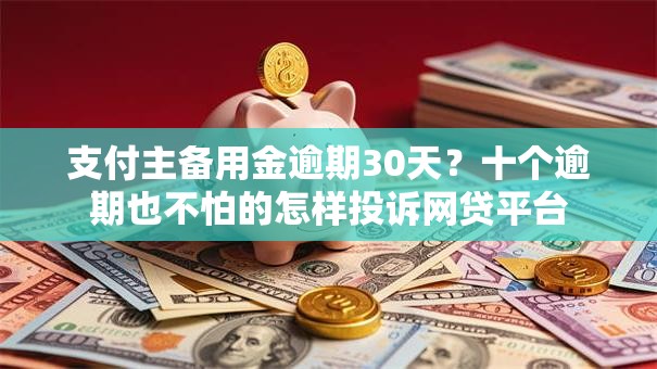 支付主备用金逾期30天？十个逾期也不怕的怎样投诉网贷平台