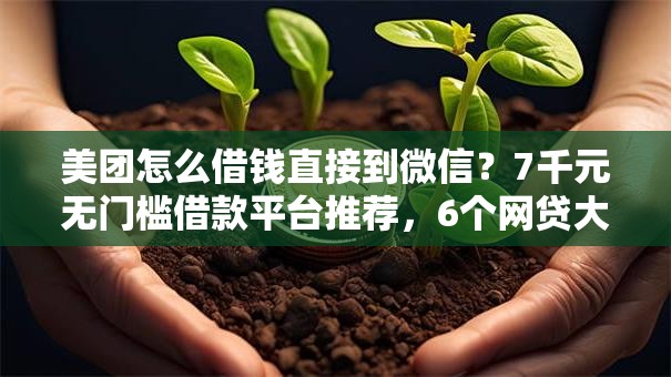 美团怎么借钱直接到微信？7千元无门槛借款平台推荐，6个网贷大口子轻松借平台盘点