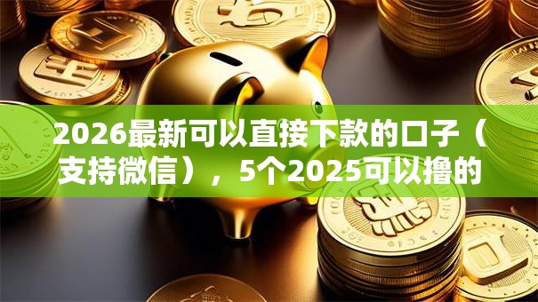 2026最新可以直接下款的口子(支持微信),5个2025可以撸的口子无私分享 2026最新可以直接下款的口子(支持微信),5个2025可以撸的口子无私分享