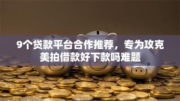 9个贷款平台合作推荐，专为攻克美拍借款好下款吗难题