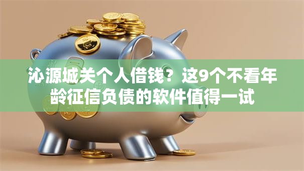 沁源城关个人借钱？这9个不看年龄征信负债的软件值得一试
