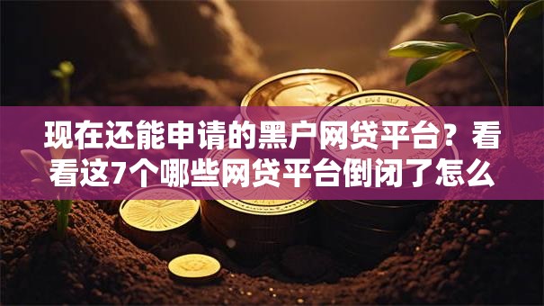 现在还能申请的黑户网贷平台？看看这7个哪些网贷平台倒闭了怎么样