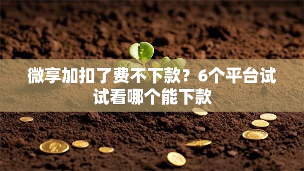 微享加扣了费不下款？6个平台试试看哪个能下款