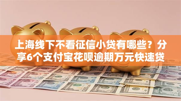 上海线下不看征信小贷有哪些？分享6个支付宝花呗逾期万元快速贷款口子