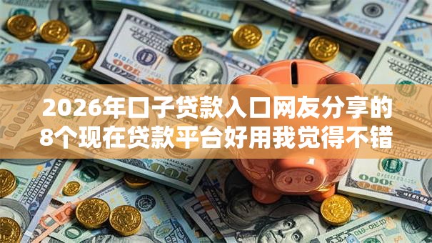2026年口子贷款入口网友分享的8个现在贷款平台好用我觉得不错！