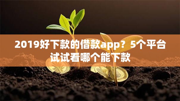 2019好下款的借款app？5个平台试试看哪个能下款