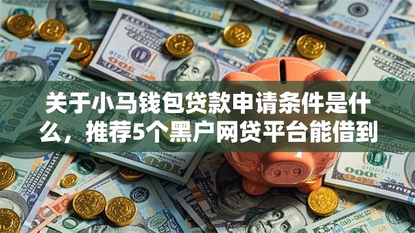 关于小马钱包贷款申请条件是什么，推荐5个黑户网贷平台能借到钱啊急用给你